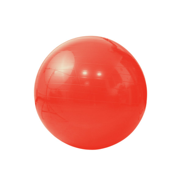 Pelota Pilates Yoga Diferentes Tamaños 45- 85 cm