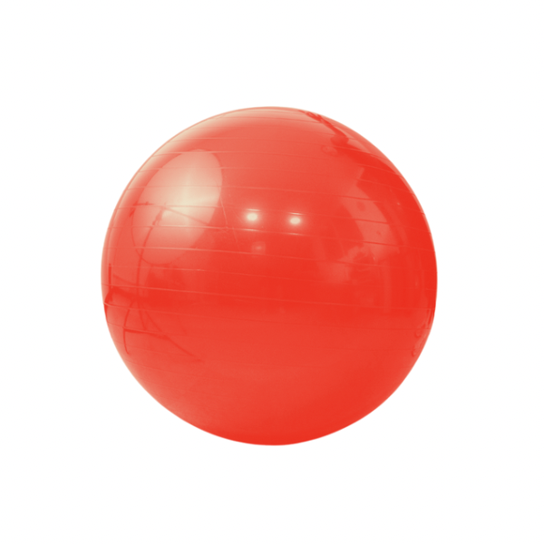 Pelota Pilates Yoga Pilates Diferentes Tamaños 45- 85 cm