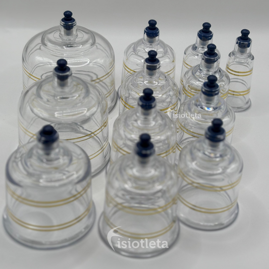 Kit de Ventosas Neumáticas con Maletín de Aluminio – 12 Copas Grandes