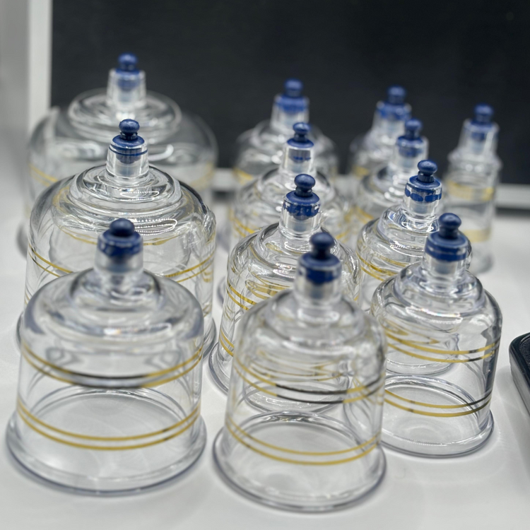Kit de Ventosas Neumáticas con Maletín de Aluminio – 12 Copas Grandes