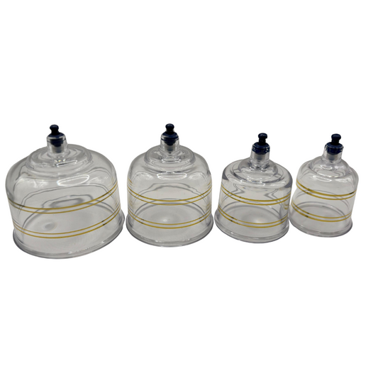 Kit de Ventosas Neumáticas – 19 Copas de Tamaño Variado (Incluye Copas Grandes)
